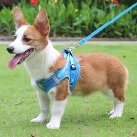 Reflective No Pull Pet Harness Set (Color: Sky Blue, size: XL)