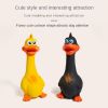 Duck Sounding Bite Resistant Dog Toy