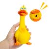 Duck Sounding Bite Resistant Dog Toy