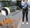Hands Free Dog Leash