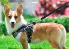 Dog Reflectorized Harness Set