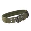 D-Ring & Buckle Collars