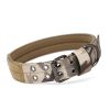 D-Ring & Buckle Collars