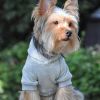 Gray Dog Hoodie