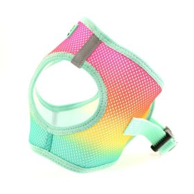 Ombre American River - Beach Party (size: X-Small)