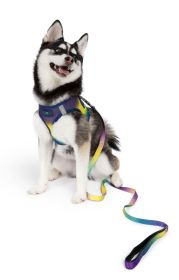 Ombre Leash - Cosmic Splash (size: 1 inch wide x 6 feet long)