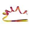 Ombre Dog Leash Raspberry Pink Orange