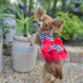 Dog Dress Cherry Stripe (size: small)