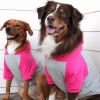Dog Hoodie Pink Gray