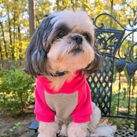 Dog Hoodie Pink Gray (size: medium)