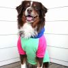 Pink Mint Dog Hoodie