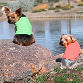 Cotton Dog Tanks Coral (size: medium)