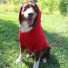 Red Dog Hoodie