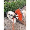 Halloween Dog Dress