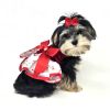 Candy Cane Dress with Leash