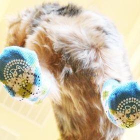 Non-Skid Dog Socks - Blue and Green Argyle (size: medium)