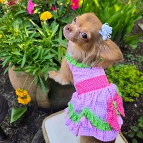 Dog Dress Watermelon (size: small)