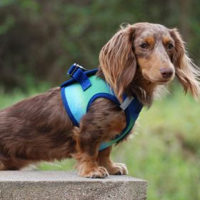 Dog Harness Northern Lights (size: small)