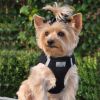 American River Dog Harness Black