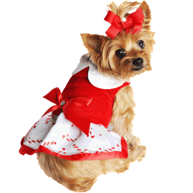 Candy Cane Dress with Leash (size: medium)