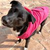 Dog Raincoat Pink
