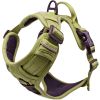Dog Harness Aspen