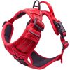 Dog Harness Crimson