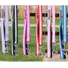 Basic Reflective Dog Leash (Color: Black)