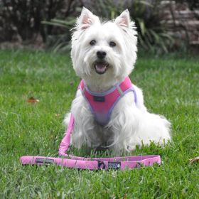 Soft Pull Traffic Dog Leash (Color: Candy Pink)