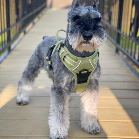 Dog Harness Aspen (size: X-Small)