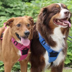 Dog Harness Mountain Lake (size: X-Small)