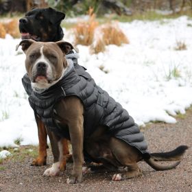 Dog Winter Puffer Coat Black (size: 2X-Large)