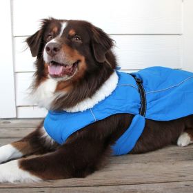 Cobalt Blue Dog Coat (size: 5X-Large)