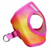 American River Harness Pink and Orange