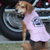 Biker Dawg -Black