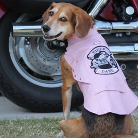 Biker Dawg Jacket Black (size: 3X-Large)