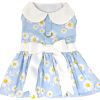 Dog Dress Blue Daisy