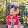 Dog Hoodie Pink Gray