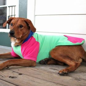 Pink Mint Dog Hoodie (size: 4X-Large)