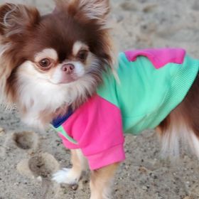 Pink Mint Dog Hoodie (size: 3X-Large)