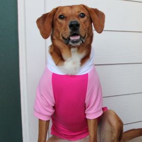 Pink on Pink Dog Hoodie (size: 2X-Large)