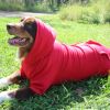 Red Dog Hoodie
