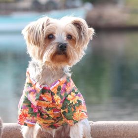 Hawaiian Sunset Shirt (size: 2X-Large)