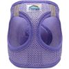 Solid American River - Paisley Purple
