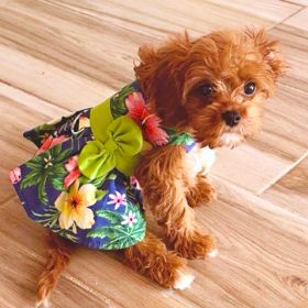 Hawaiian Lagoon Dress (size: large)