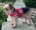 Dog Harness Hawaiian Red